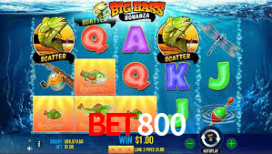 BET800,BET800 BET